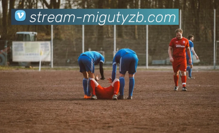 多媒体互动体验